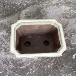 Tokoname Cream Irregular Ceramic Bonsai Pot (15cm) -BonsaiHub Shop Screenshot 2023 07 21 at 11.11.311