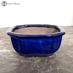 Tokoname Irregular Blue Bonsai Pot (15cm)
