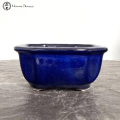 Tokoname Irregular Blue Bonsai Pot (17cm) -BonsaiHub Shop Screenshot 2023 07 21 at 11.39.561 1