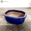 Tokoname Irregular Blue Bonsai Pot (17cm)