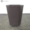 Shohin Bonsai Pot Hexagon Cascade Plastic (13cm Tall) -BonsaiHub Shop Screenshot 2023 07 25 at 11.25.591