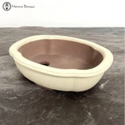 Cream Irregular Bonsai Pot (20.5cm)
