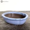 Blue Irregular Bonsai Pot (20cm) -BonsaiHub Shop Screenshot 2023 07 25 at 11.35.061