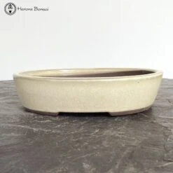 New Arrival -BonsaiHub Shop Screenshot 2023 07 25 at 11.36.311