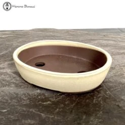New Arrival 3 Cream Oval Bonsai Pot (20cm)