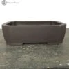Irregular Shohin Bonsai Pot Plastic (17.5cm) -BonsaiHub Shop Screenshot 2023 07 25 at 13.19.181