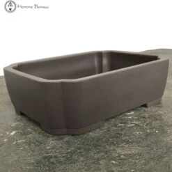 Irregular Shohin Bonsai Pot Plastic (17.5cm) -BonsaiHub Shop Screenshot 2023 07 25 at 13.20.471