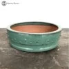 Green Glazed Drum Pot (30cm) -BonsaiHub Shop Screenshot 2023 07 25 at 14.07.481