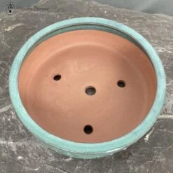 Green Glazed Drum Pot (30cm) -BonsaiHub Shop Screenshot 2023 07 25 at 14.10.401