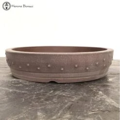 Unglazed Drum Pot (24cm) -BonsaiHub Shop Screenshot 2023 07 25 at 14.16.151