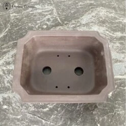 Unglazed Irregular Ceramic Bonsai Pot (22cm) -BonsaiHub Shop Screenshot 2023 07 26 at 13.29.001
