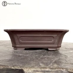 Unglazed Irregular Ceramic Bonsai Pot (22cm) -BonsaiHub Shop Screenshot 2023 07 26 at 13.29.43