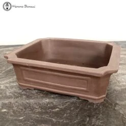Unglazed Irregular Pot (25cm) -BonsaiHub Shop Screenshot 2023 07 27 at 09.12.491
