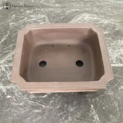 Unglazed Irregular Pot (25cm) -BonsaiHub Shop Screenshot 2023 07 27 at 09.13.381