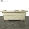 Cream Square Bonsai Pot (21.5cm) -BonsaiHub Shop Screenshot 2023 07 27 at 11.49.431