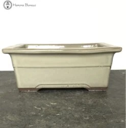 New Arrival 1 Cream Square Bonsai Pot (21.5cm)
