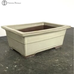 New Arrival -BonsaiHub Shop Screenshot 2023 07 27 at 11.50.121