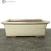 Cream Square Bonsai Pot (24.5cm) -BonsaiHub Shop Screenshot 2023 07 27 at 12.21.591