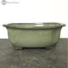Light Green Irregular Ceramic Bonsai Pot (25cm) -BonsaiHub Shop Screenshot 2023 07 27 at 13.28.071