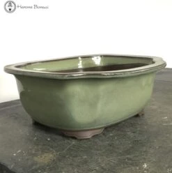 Light Green Irregular Ceramic Bonsai Pot (25cm) -BonsaiHub Shop Screenshot 2023 07 27 at 13.28.381