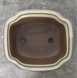 Light Green Irregular Ceramic Bonsai Pot (25cm) -BonsaiHub Shop Screenshot 2023 07 27 at 13.29.111