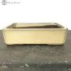 Cream Rectangle Bonsai Pot (20cm) 1 Cream Rectangle Bonsai Pot (20cm) -BonsaiHub Shop Screenshot 2023 07 27 at 13.46.311