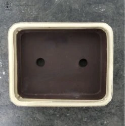 Cream Rectangle Bonsai Pot (20cm) -BonsaiHub Shop Screenshot 2023 07 27 at 13.47.411