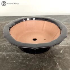 Dark Blue Lotus Shaped Pot (32cm) -BonsaiHub Shop Screenshot 2023 07 27 at 14.02.041