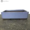 Light Blue Rectangle Bonsai Pot (20cm) -BonsaiHub Shop Screenshot 2023 07 28 at 13.34.501