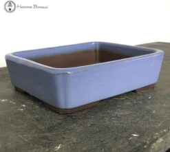 Light Blue Rectangle Bonsai Pot (20cm) -BonsaiHub Shop Screenshot 2023 07 28 at 13.35.491