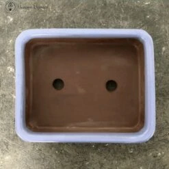 Light Blue Rectangle Bonsai Pot (20cm) -BonsaiHub Shop Screenshot 2023 07 28 at 13.36.191