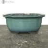 Turquoise Irregular Ceramic Bonsai Pot (20cm) -BonsaiHub Shop Screenshot 2023 08 03 at 11.49.341