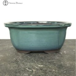 Turquoise Irregular Ceramic Bonsai Pot (20cm)