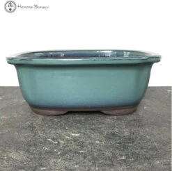 Turquoise Irregular Ceramic Bonsai Pot (24cm)
