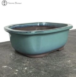 Front Page 20 Front Page -BonsaiHub Shop Screenshot 2023 08 03 at 12.32.541