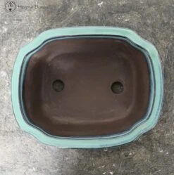 Turquoise Irregular Ceramic Bonsai Pot (24cm) -BonsaiHub Shop Screenshot 2023 08 03 at 12.33.301