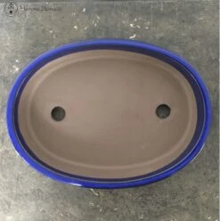 Blue Oval Ceramic Bonsai Pot (28.5cm) -BonsaiHub Shop Screenshot 2023 08 03 at 12.47.481
