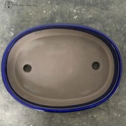 Blue Oval Ceramic Bonsai Pot (31cm) -BonsaiHub Shop Screenshot 2023 08 03 at 13.17.181