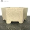 Ancient Yellow Hexagon Bonsai Pot (18.5cm) -BonsaiHub Shop Screenshot 2023 08 04 at 13.39.171