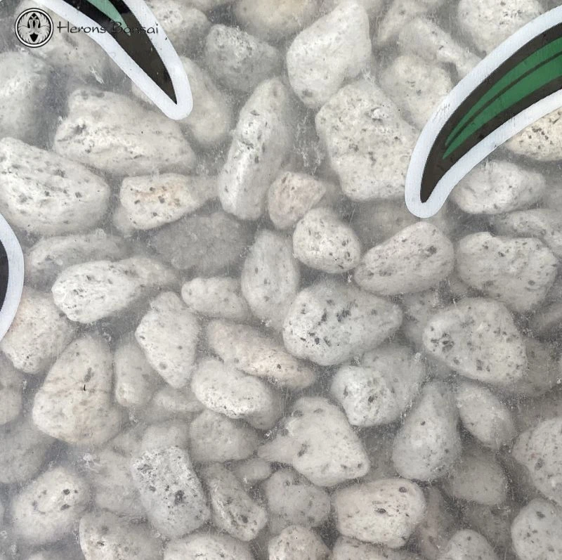 Pumice 16L 4 Pumice 16L - Image 2