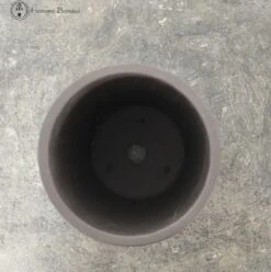 Round Unglazed Brown Bonsai Pot 21cm Tall -BonsaiHub Shop Screenshot 2023 08 09 at 10.43.531