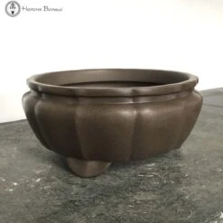 Unglazed Lotus Shaped Ceramic Pot (20cm) -BonsaiHub Shop Screenshot 2023 08 09 at 11.35.301