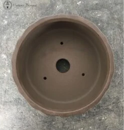 Unglazed Lotus Shaped Ceramic Pot (20cm) -BonsaiHub Shop Screenshot 2023 08 09 at 11.35.581