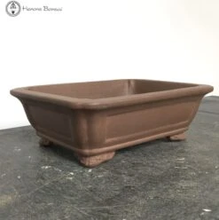 Unglazed Irregular Shaped Bonsai Pot (26cm) -BonsaiHub Shop Screenshot 2023 08 10 at 11.18.521