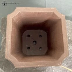 Unglazed Cascade Pot 30cm Tall | COLLECTION ONLY -BonsaiHub Shop Screenshot 2023 08 14 at 11.01.09