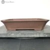 Unglazed Irregular Shaped Bonsai Pot (36.5cm) -BonsaiHub Shop Screenshot 2023 09 05 at 11.56.261