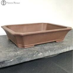 Unglazed Irregular Shaped Bonsai Pot (36.5cm) -BonsaiHub Shop Screenshot 2023 09 05 at 11.57.041