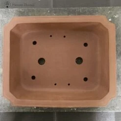 Unglazed Irregular Shaped Bonsai Pot (36.5cm) -BonsaiHub Shop Screenshot 2023 09 05 at 11.57.371