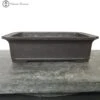 Rectangle Mica Bonsai Pot (31.5cm X 23.5cm X 9cm) 2 Rectangle Mica Bonsai Pot (31.5cm X 23.5cm X 9cm) -BonsaiHub Shop Screenshot 2023 09 22 at 10.55.131