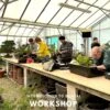 Introduction To Bonsai Workshop -BonsaiHub Shop new1